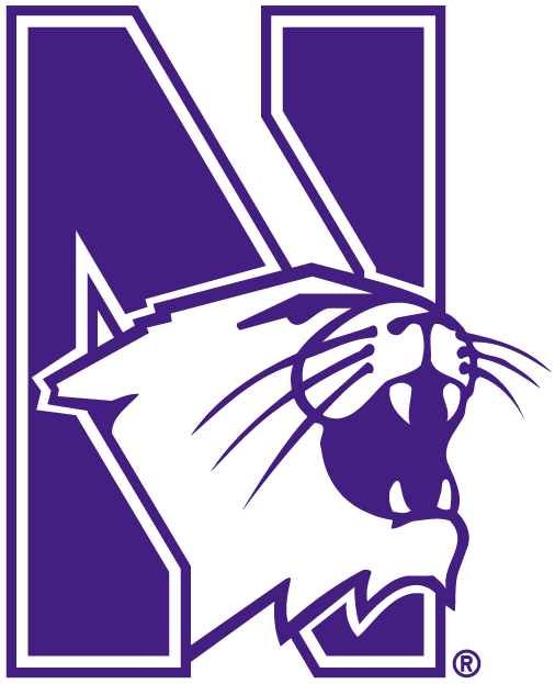 Northwestern Wildcats 1981-Pres Alternate Logo t shirts iron on transfers...